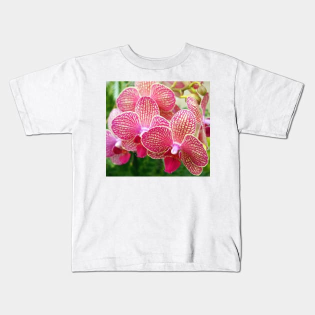 Pink and White Orchids Kids T-Shirt by Scubagirlamy